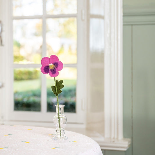 Bloem: Viooltje Fuchsia