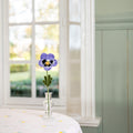 Lilac Violet