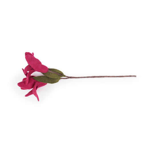 Bloem: Tak Lelie Burgundy