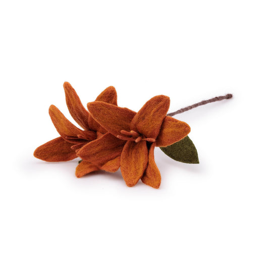 Bloem: Tak Lelie Cognac