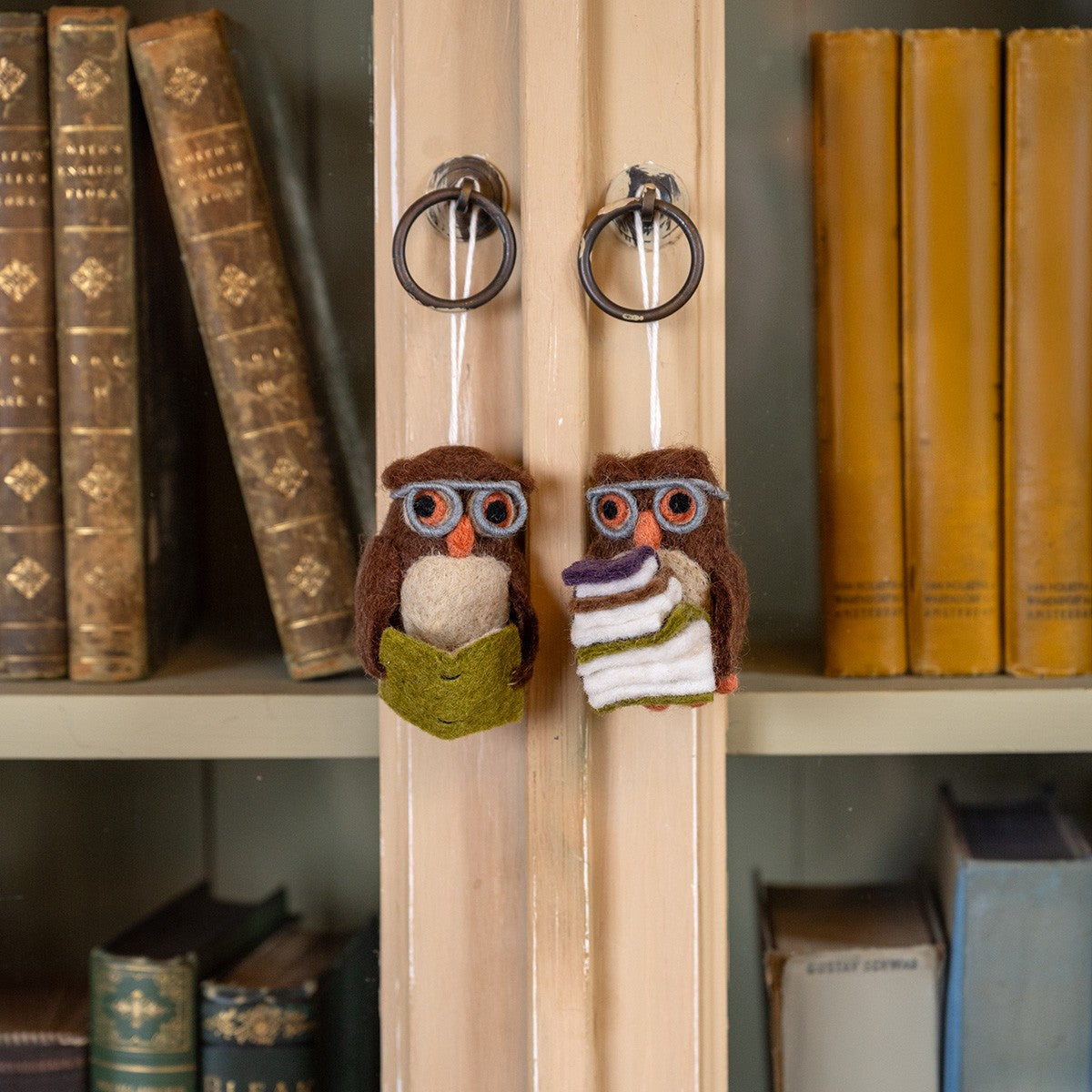 Detailfoto van vilten hanger uil met drie boeken