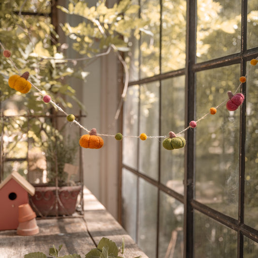 Viltslinger Pompoen Herfsttinten