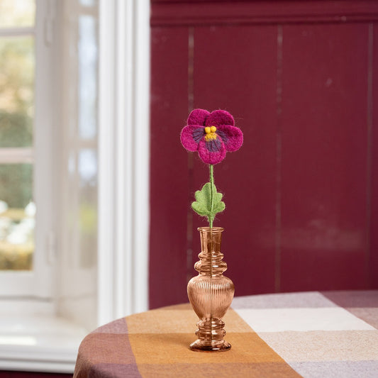 Winterviooltje Burgundy-Paars