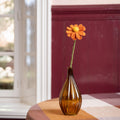 Herfst Margrietje Cognac