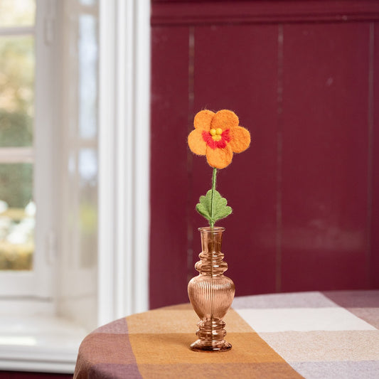 Winterviooltje Cognac - Bordeaux