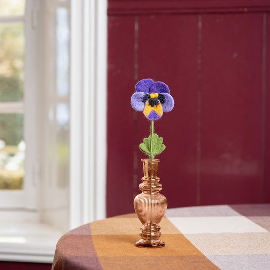 Winterviooltje Paars - Okergeel