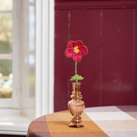 Winterviooltje Bordeaux - Burgundy