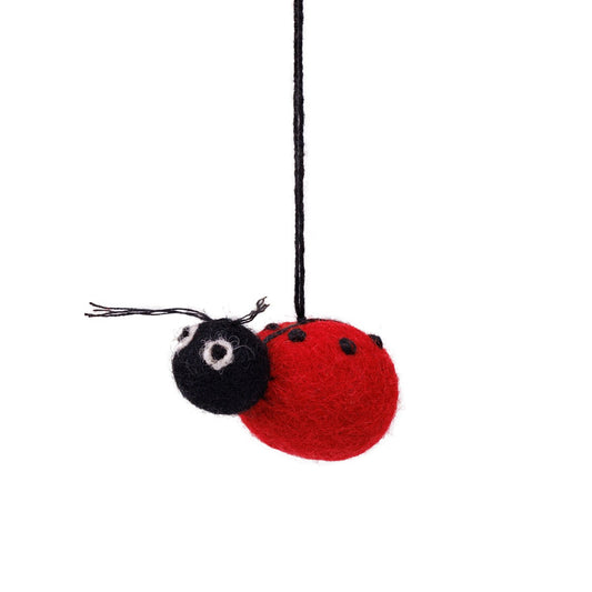 Hanger Lieveheersbeestje