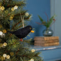 Amsel