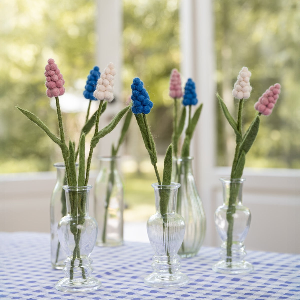 Bloem: Druifje Assorti 6 st.