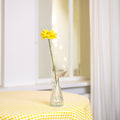 Daisy Yellow