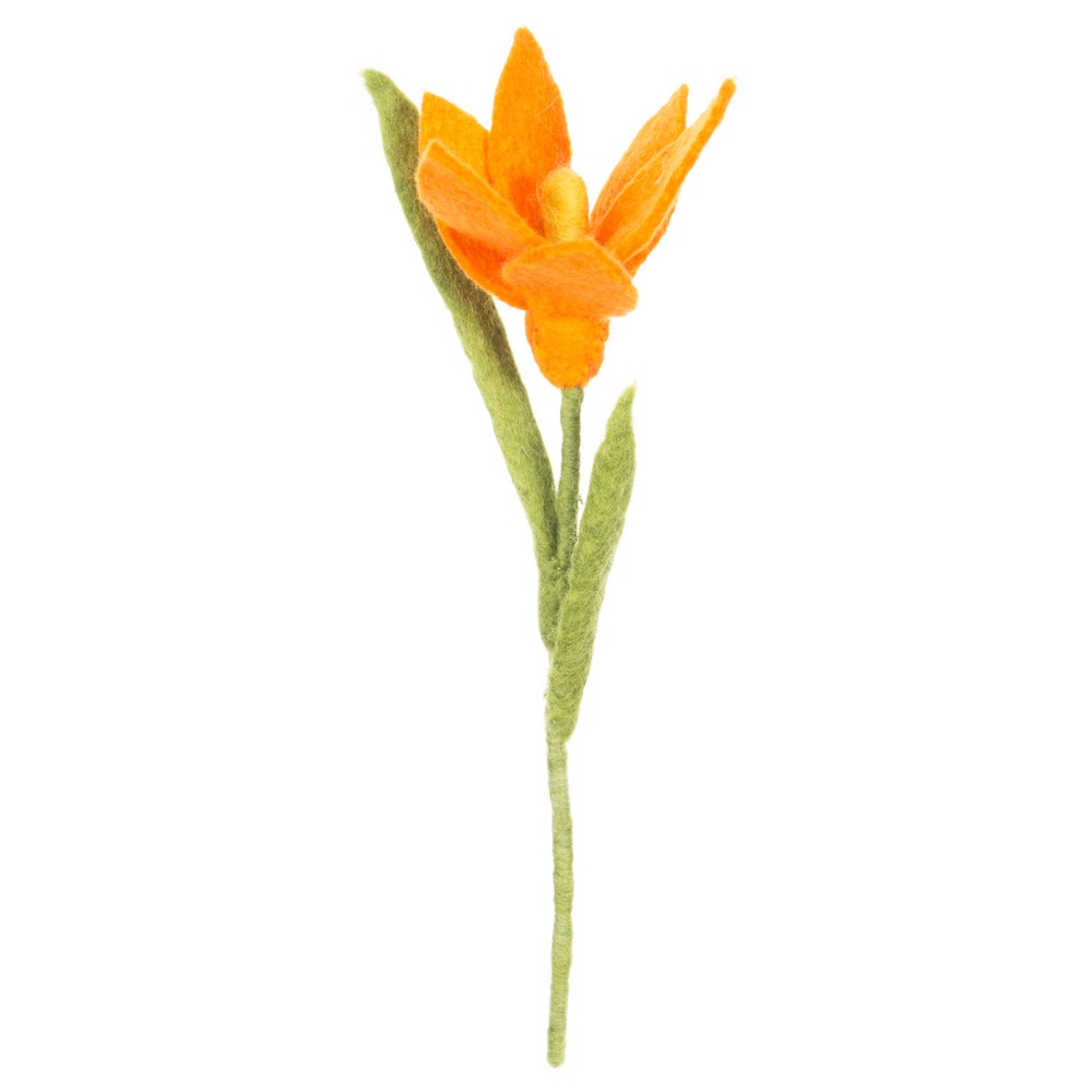 Detailfoto van vilten krokus oranje