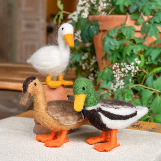 Decoratie Wilde Eend