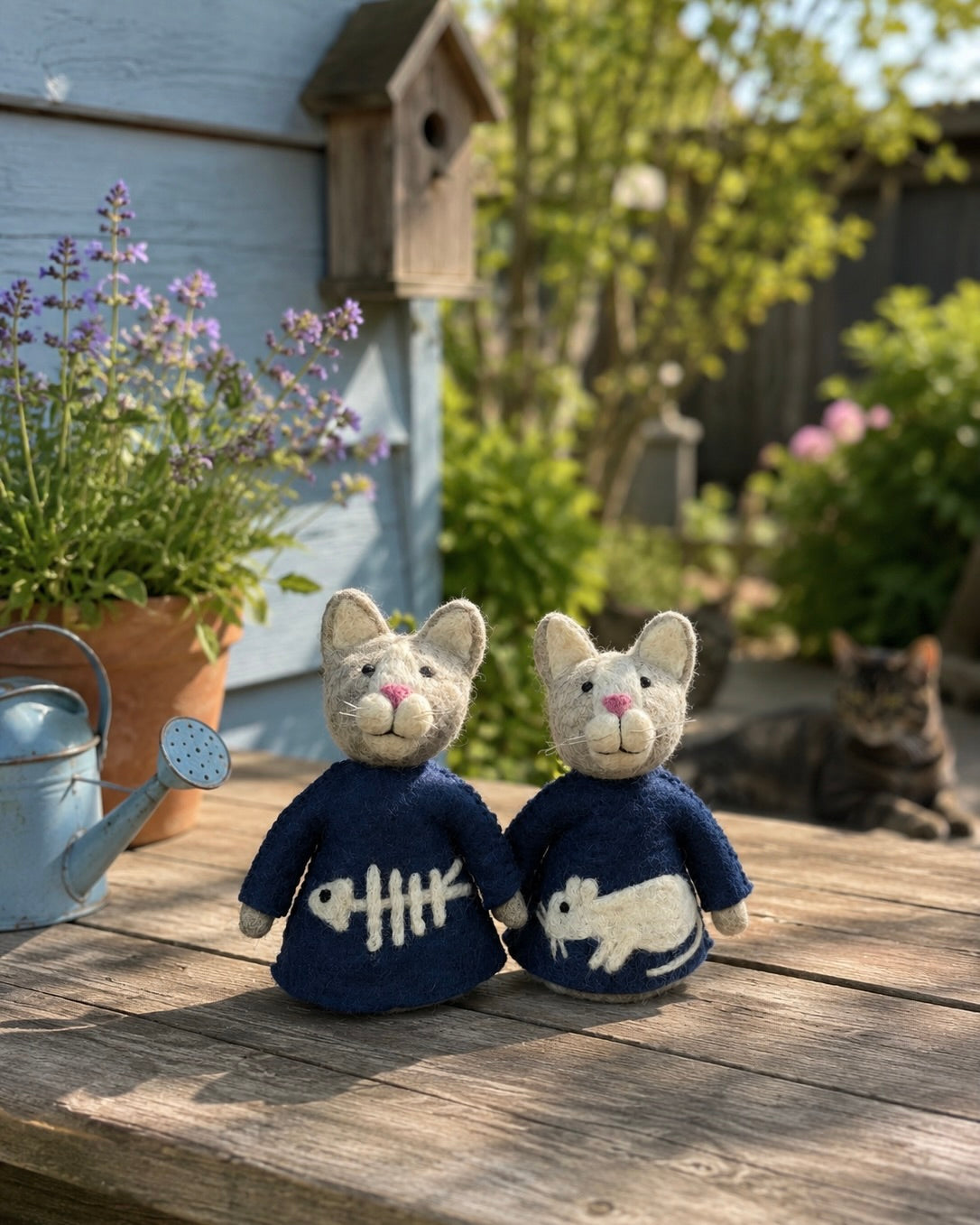 Voor elke kattenliefhebber