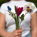 Blumenstrauß Sammeke